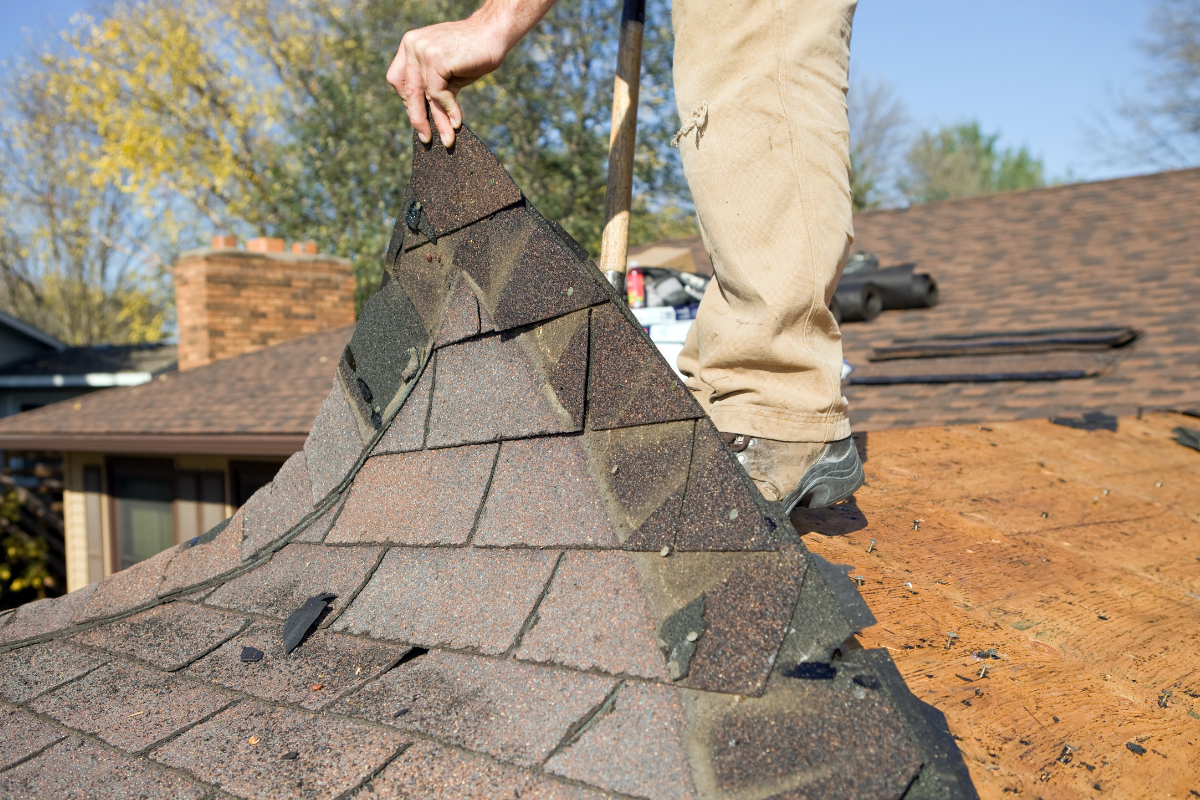 A man installs a shingled roof on a house, showcasing Mr. Max Roofing's expertise in roof replacement.