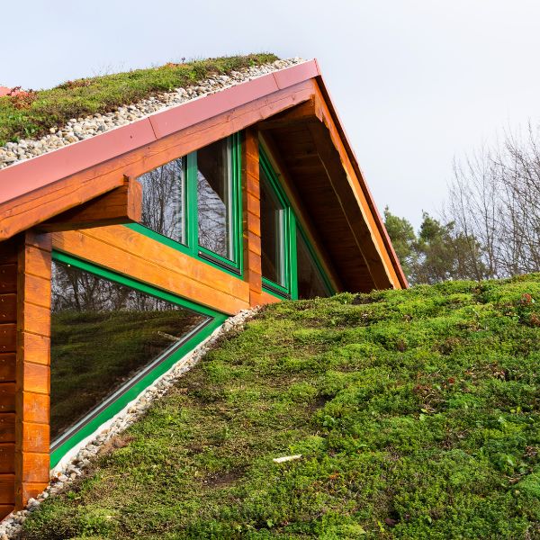 Extensive Green Roofing