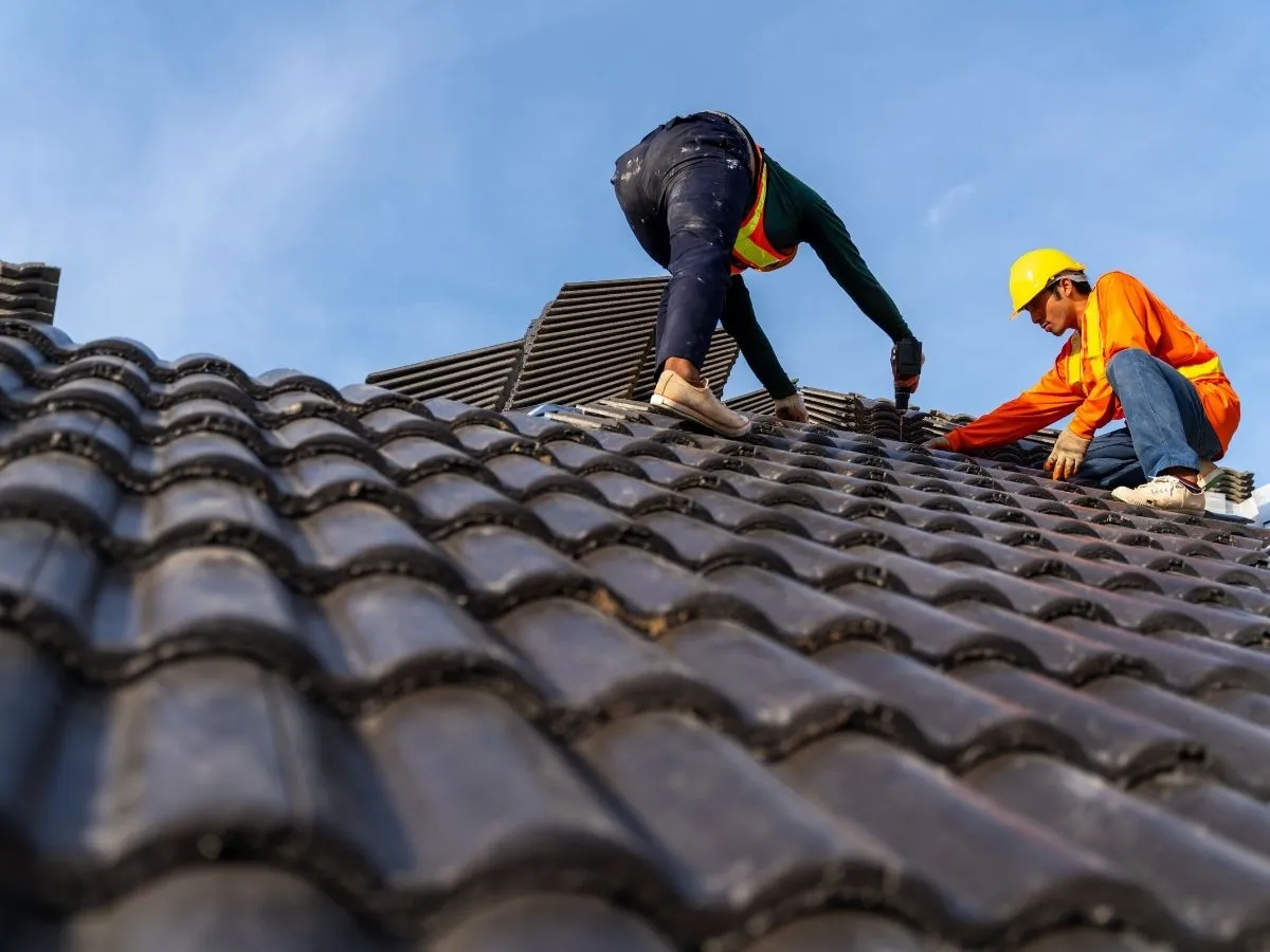 rooftop drainage systems