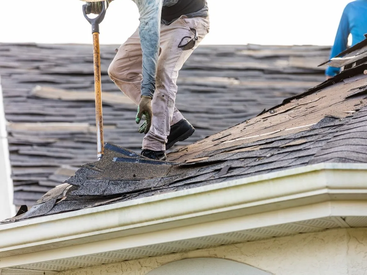 roof drain system