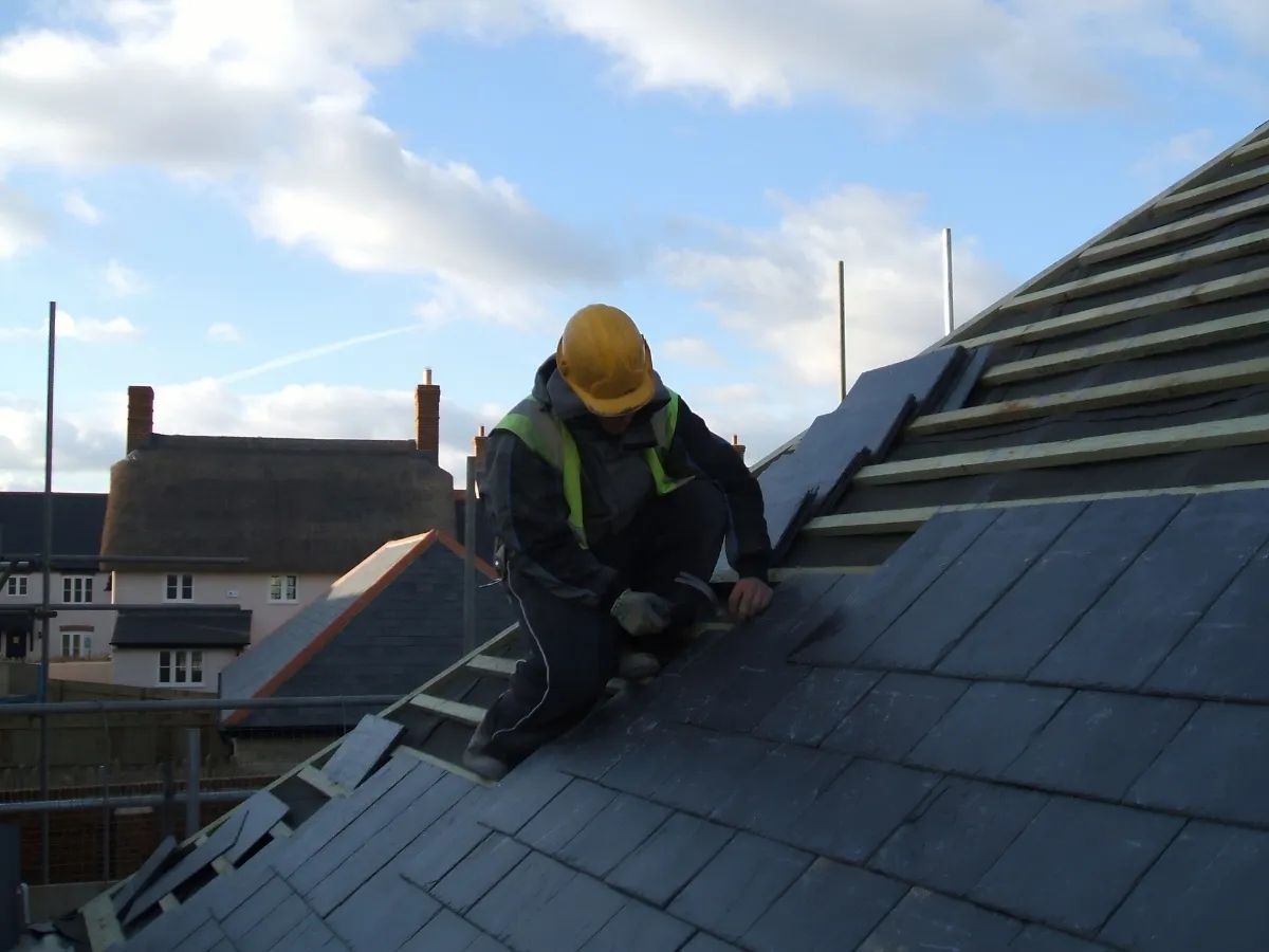 moss removal roof BC